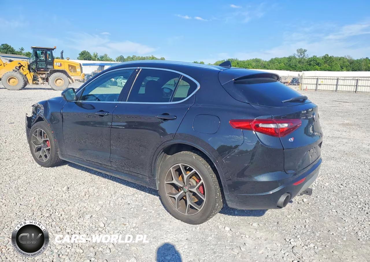2021 Alfa Romeo Stelvio Awd VIN:ZASPAKBN9M7D13133 - 2