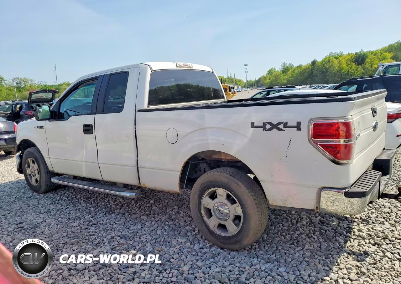 2010 Ford F150 Super Cab VIN:1FTFX1EV6AKE30136 - 2