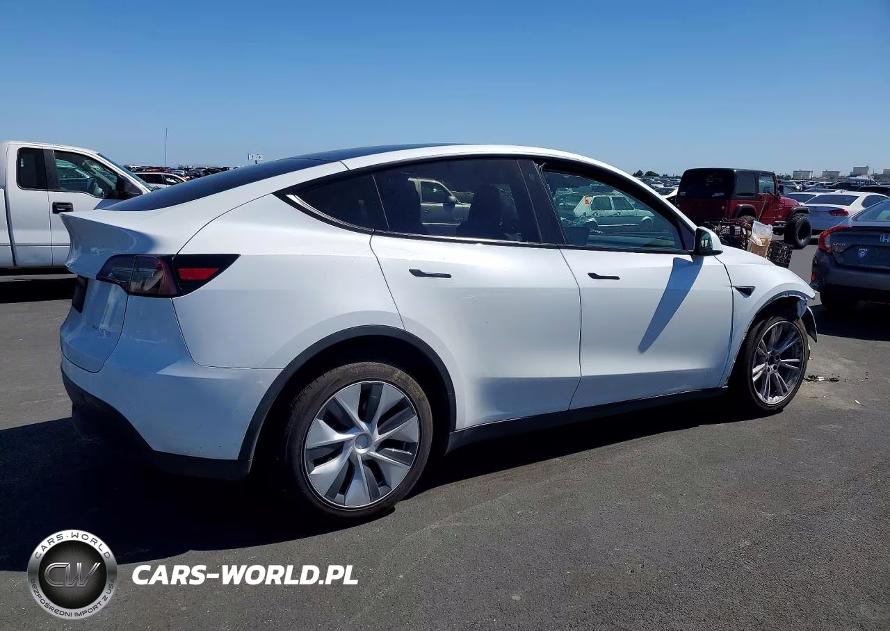 2023 Tesla Model Y VIN:7SAYGDEE6PF745960 - 3