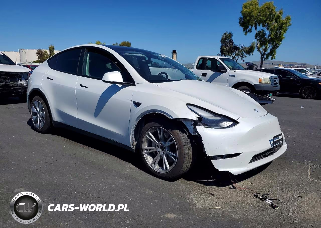 2023 Tesla Model Y VIN:7SAYGDEE6PF745960 - 4