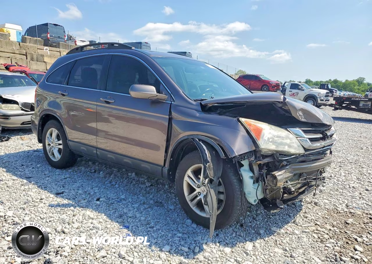 2010 Honda Cr-V Exl VIN:5J6RE3H74AL048414 - 4
