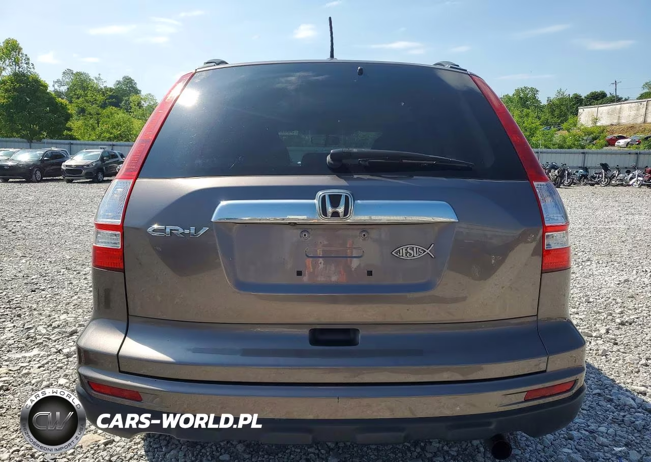 2010 Honda Cr-V Exl VIN:5J6RE3H74AL048414 - 6