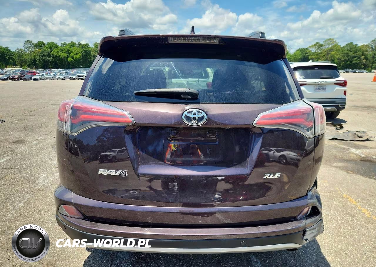 2017 Toyota Rav4 Xle VIN:2T3WFREV1HW383049 - 6