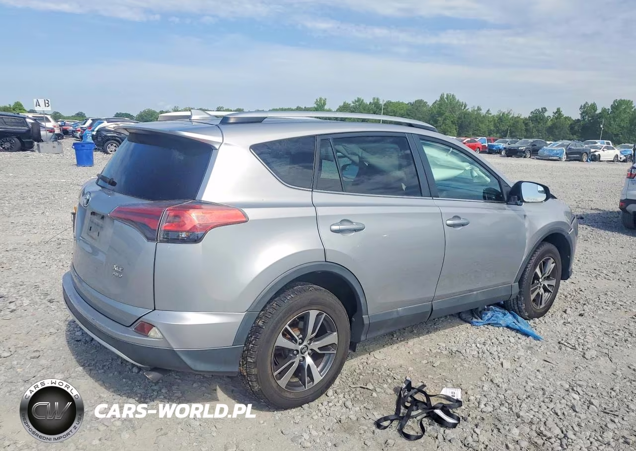 2016 Toyota Rav4 Xle VIN:2T3RFREV8GW494399 - 3