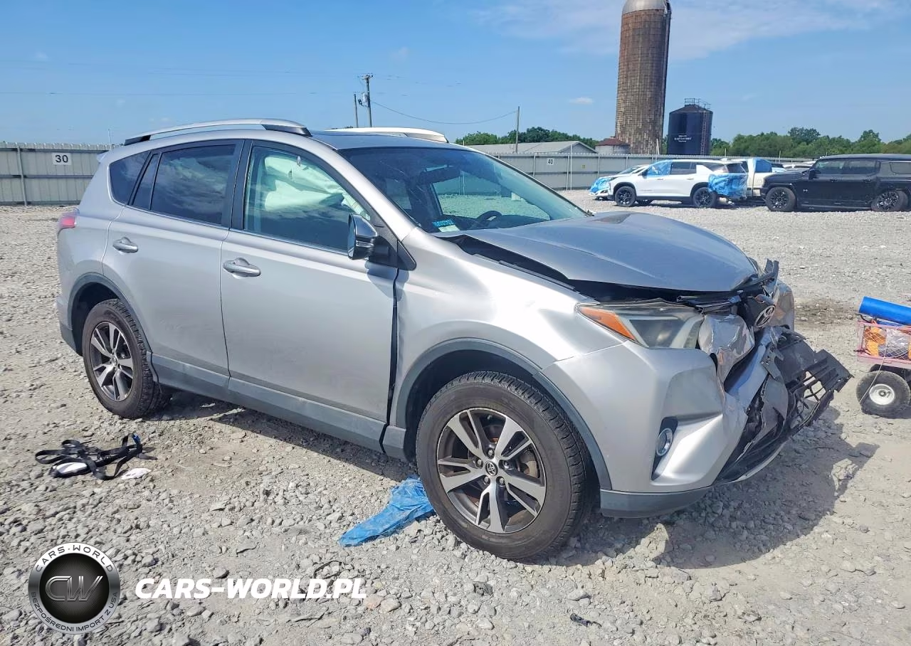 2016 Toyota Rav4 Xle VIN:2T3RFREV8GW494399 - 4