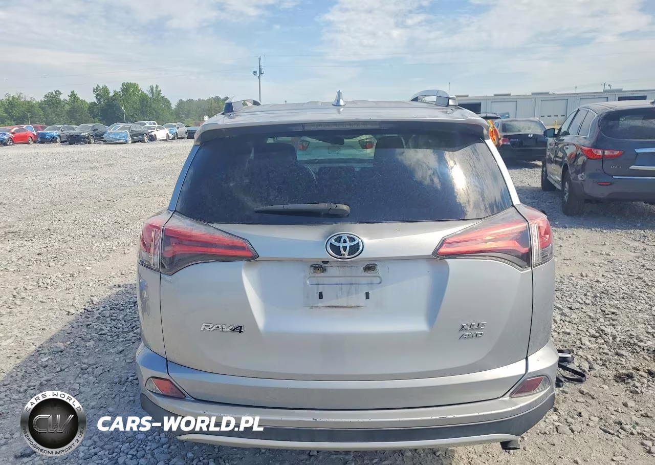 2016 Toyota Rav4 Xle VIN:2T3RFREV8GW494399 - 6