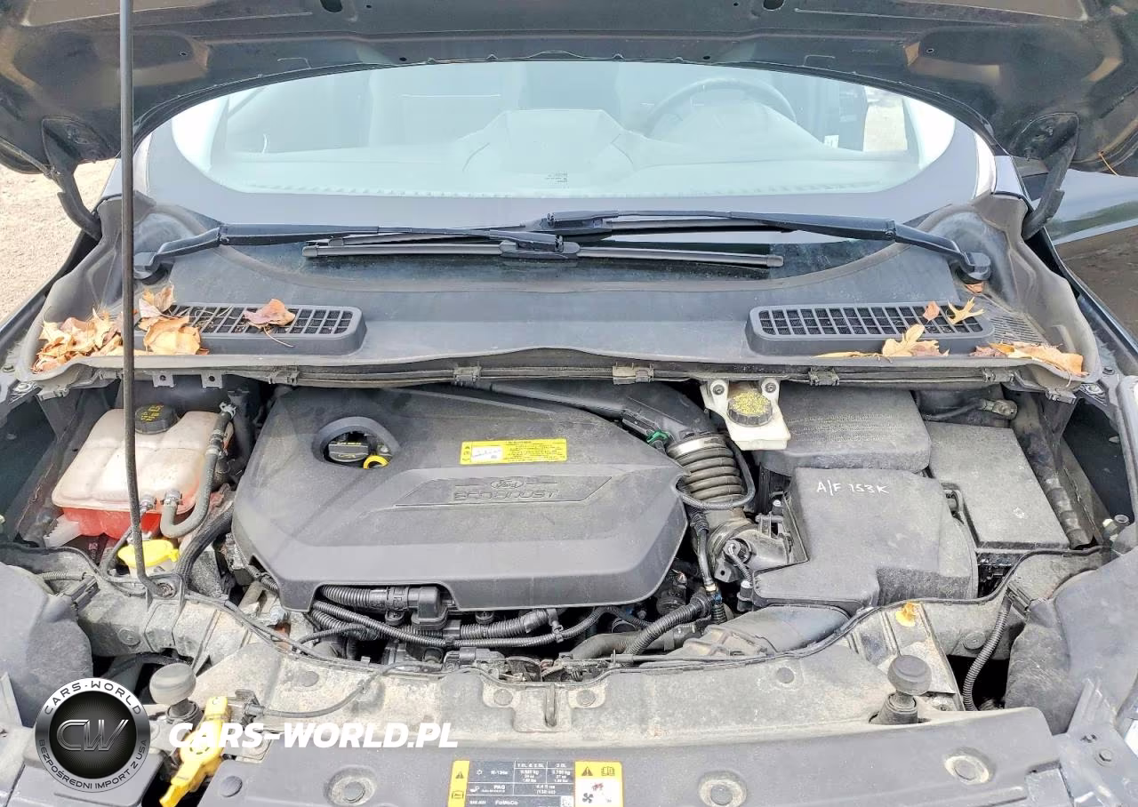 2014 Ford Escape Se VIN:1FMCU0GX9EUA03835 - 12