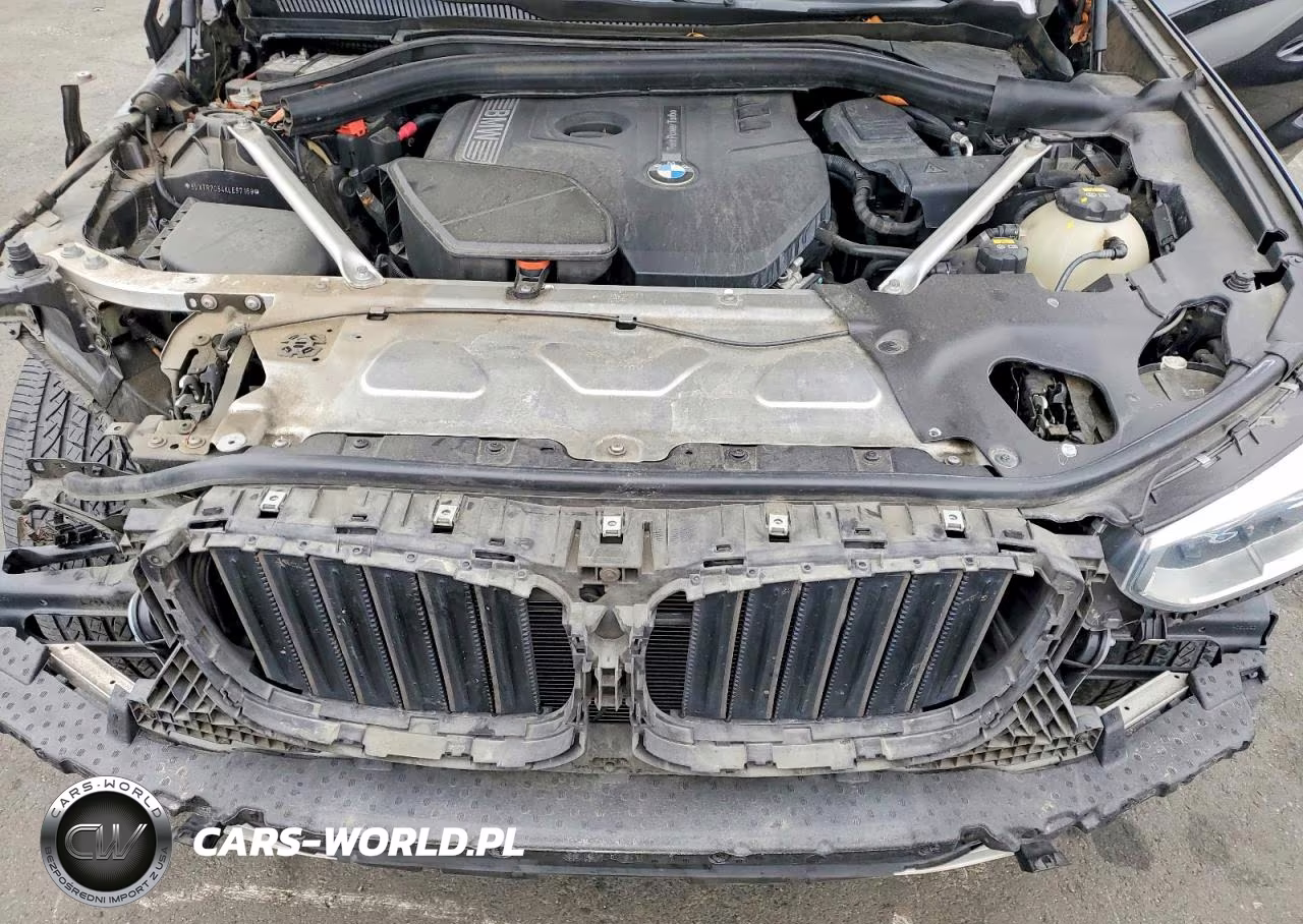 2019 BMW X3 Sdrive30I VIN:5UXTR7C54KLE97169 - 12