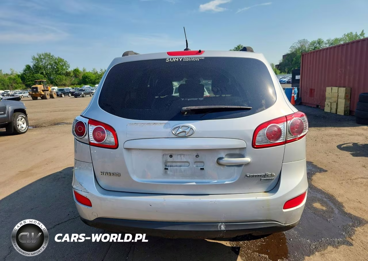 2010 Hyundai Santa Fe Gls VIN:5NMSGDAB6AH416566 - 6