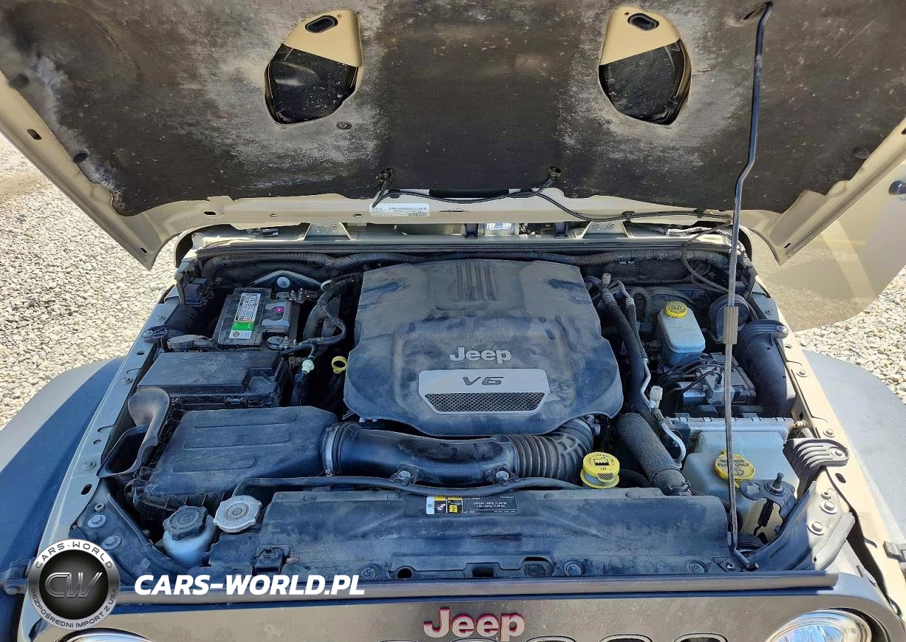2017 Jeep Wrangler Rubicon VIN:1C4BJWCG1HL666697 - 12