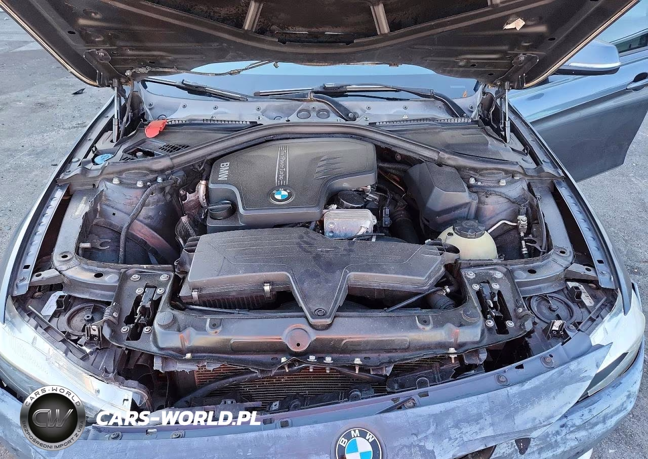 2017 BMW 320 I VIN:WBA8E1G39HNU15470 - 11