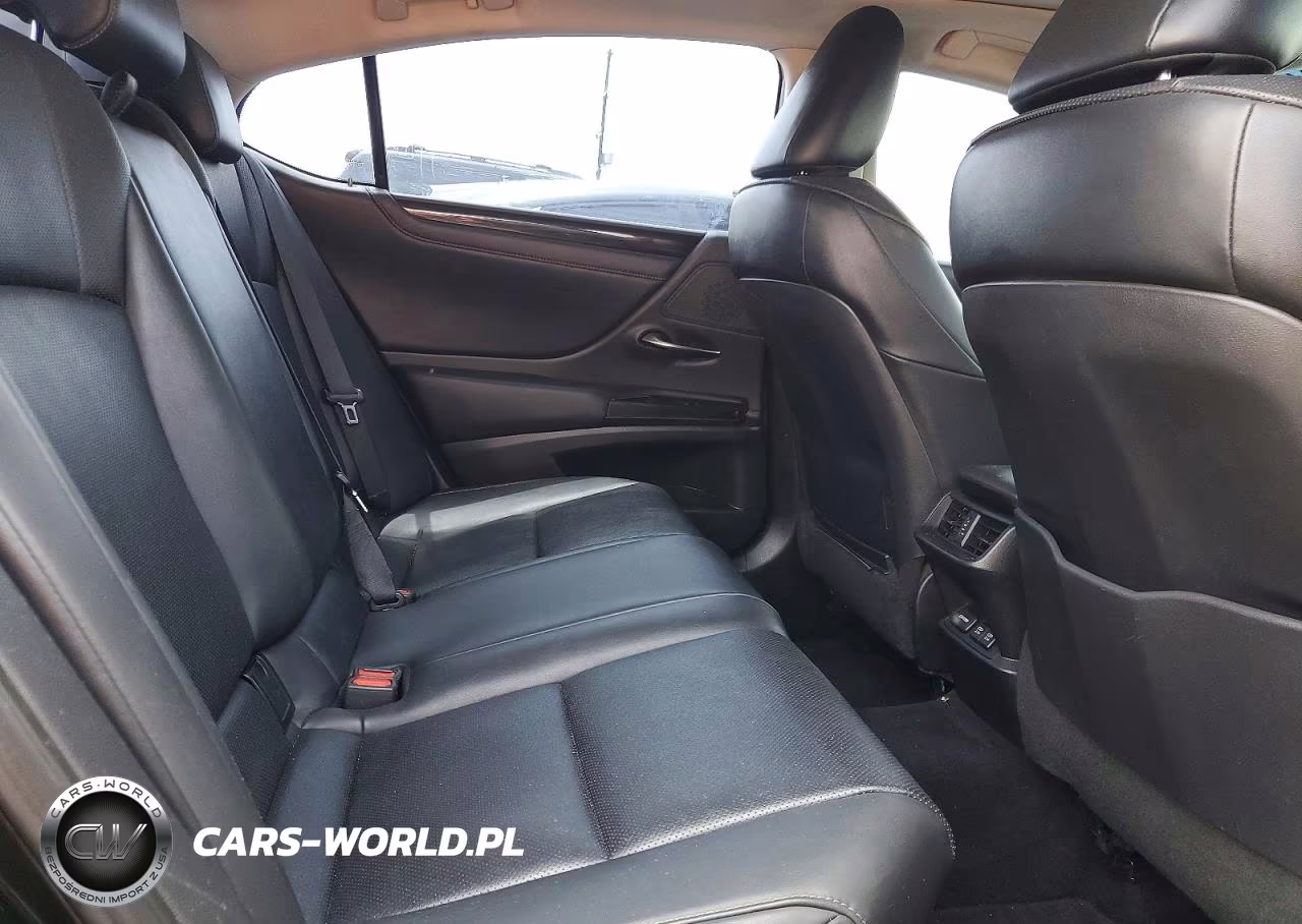 2021 Lexus Es 300H VIN:58ADA1C13MU005933 - 10