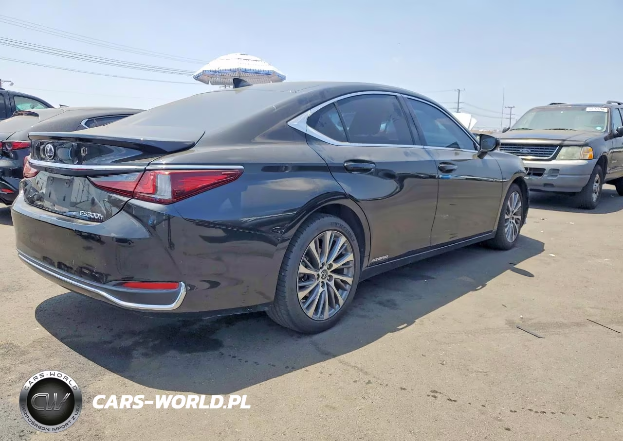2021 Lexus Es 300H VIN:58ADA1C13MU005933 - 3