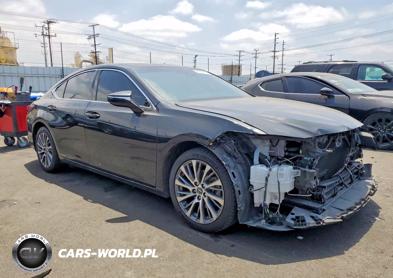 2021 Lexus Es 300H VIN:58ADA1C13MU005933 - 4