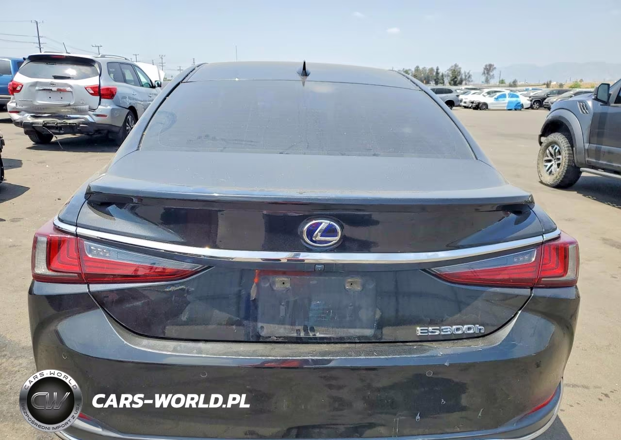 2021 Lexus Es 300H VIN:58ADA1C13MU005933 - 6