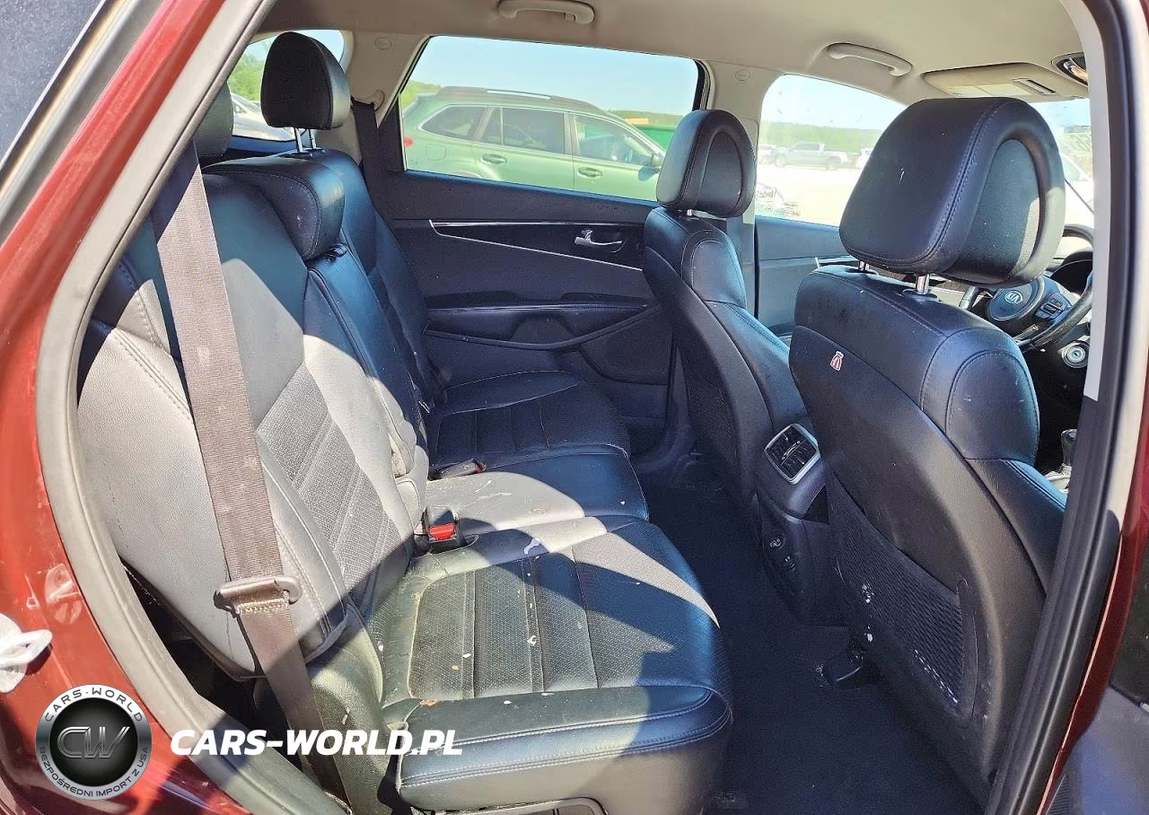 2016 Kia Sorento Ex VIN:5XYPHDA12GG137175 - 10