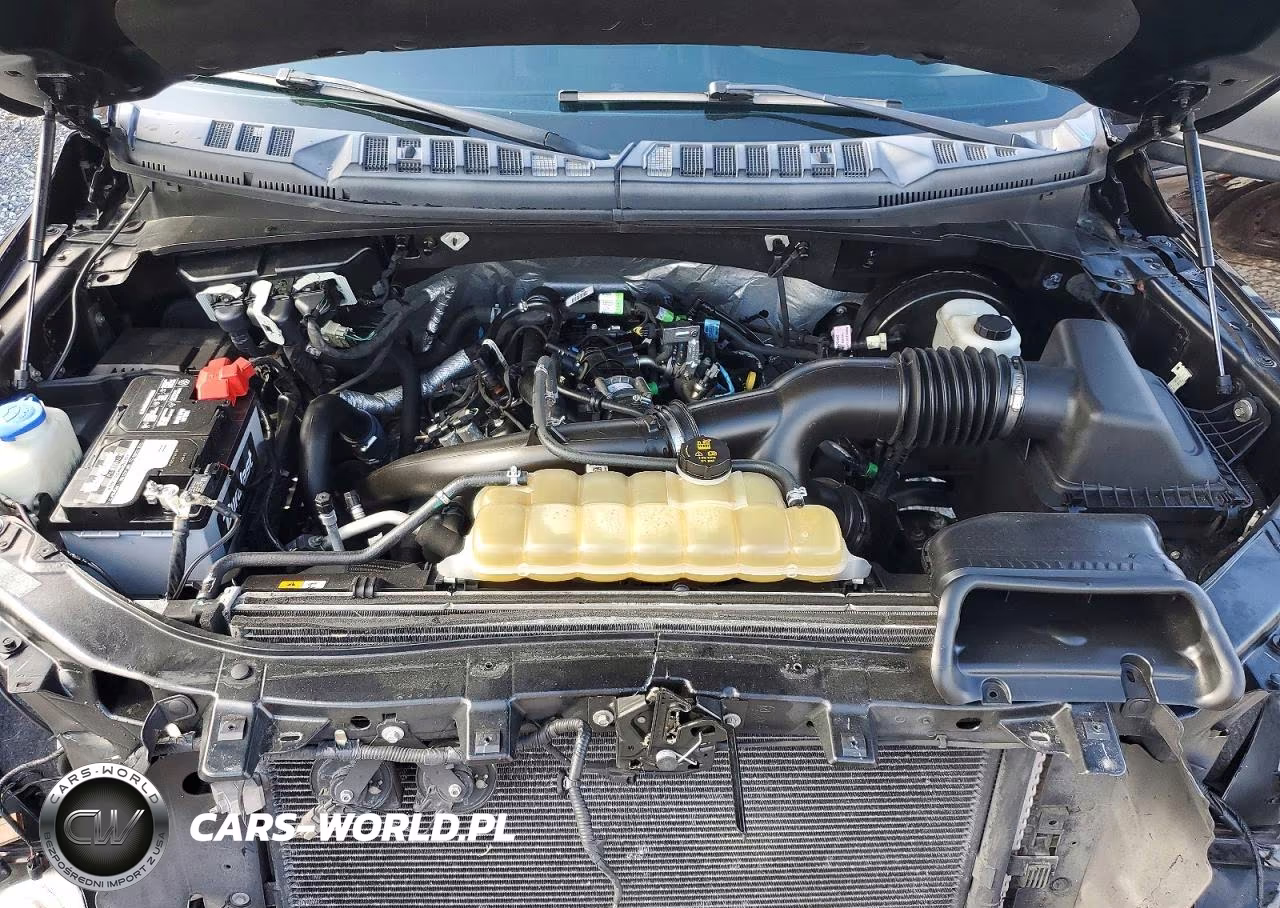 2019 Ford F150 Supercrew VIN:1FTEW1CP7KFB25080 - 11