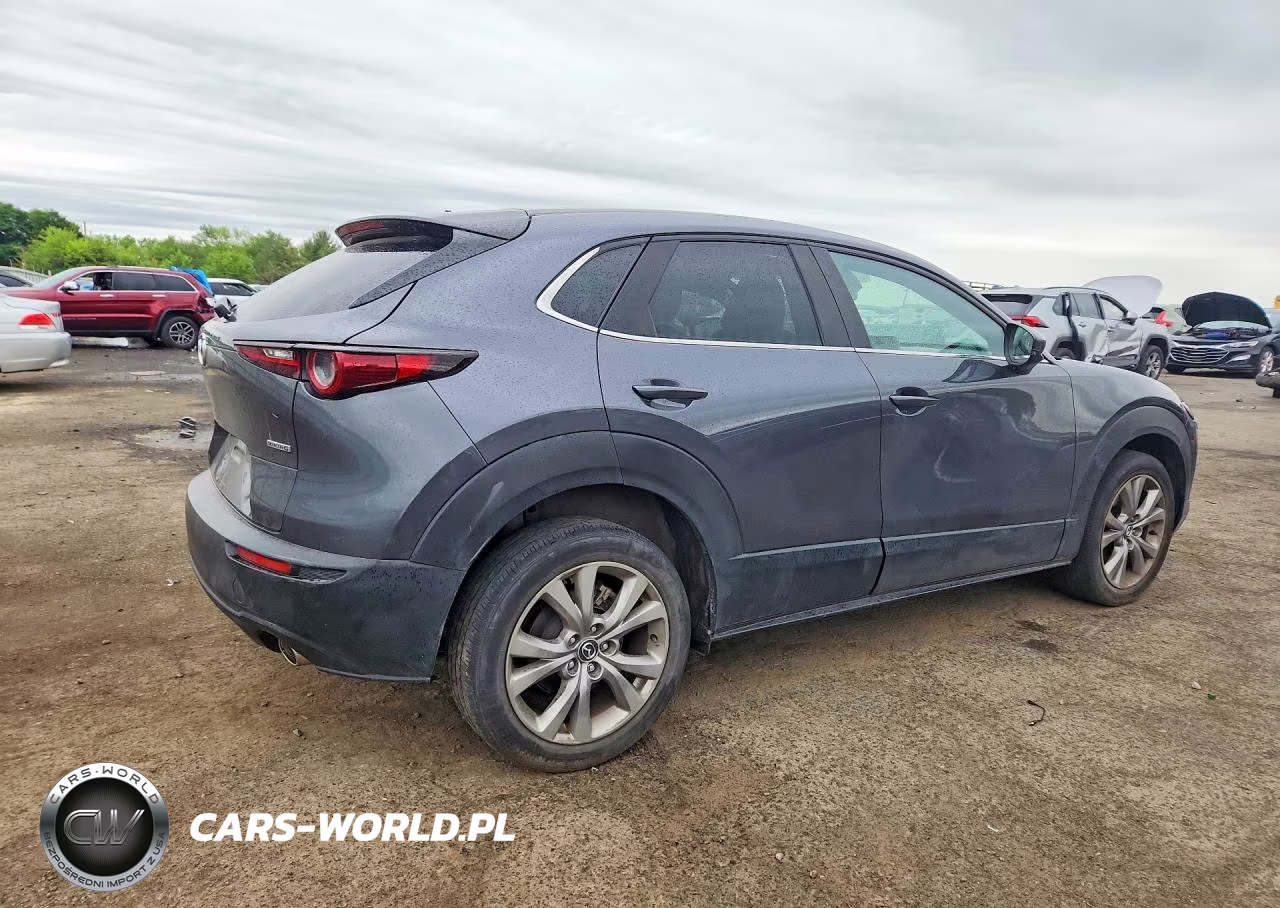 2020 Mazda Cx-30 Select VIN:3MVDMBCL2LM106442 - 3