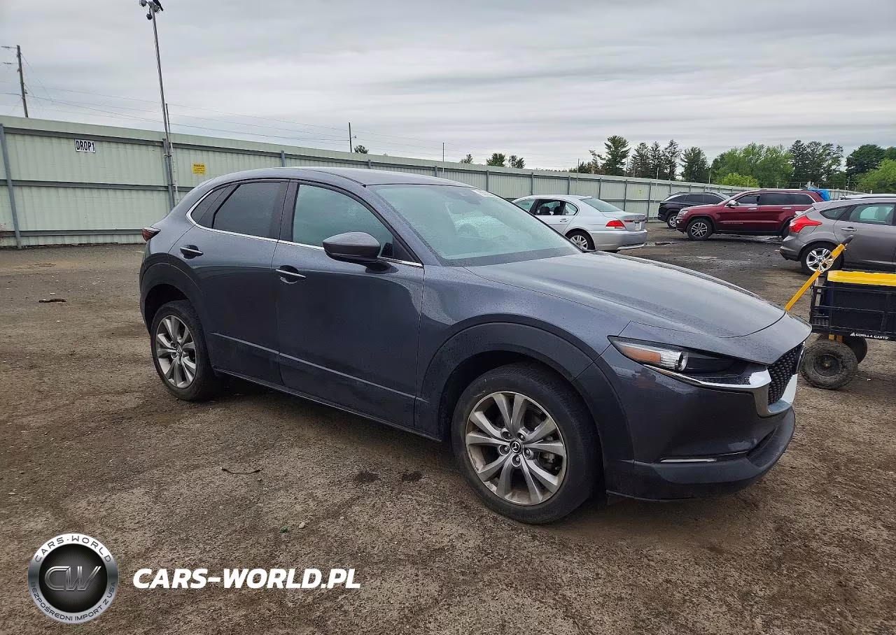 2020 Mazda Cx-30 Select VIN:3MVDMBCL2LM106442 - 4