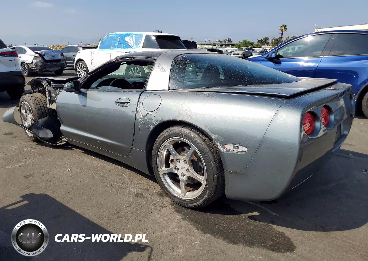 2004 Chevrolet Corvette VIN:1G1YY22G745101071 - 2