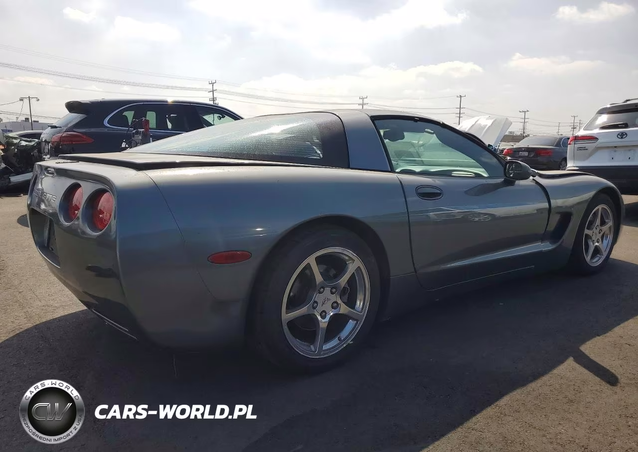 2004 Chevrolet Corvette VIN:1G1YY22G745101071 - 3