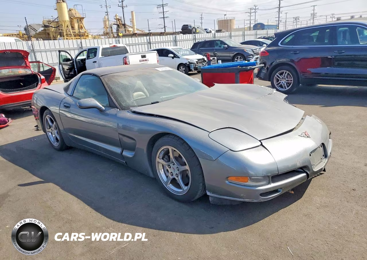 2004 Chevrolet Corvette VIN:1G1YY22G745101071 - 4