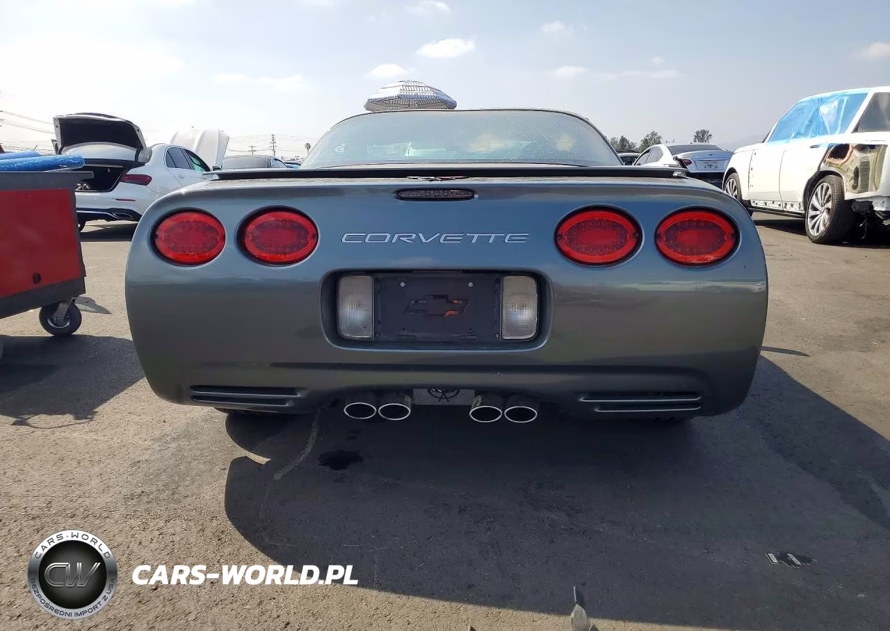 2004 Chevrolet Corvette VIN:1G1YY22G745101071 - 6