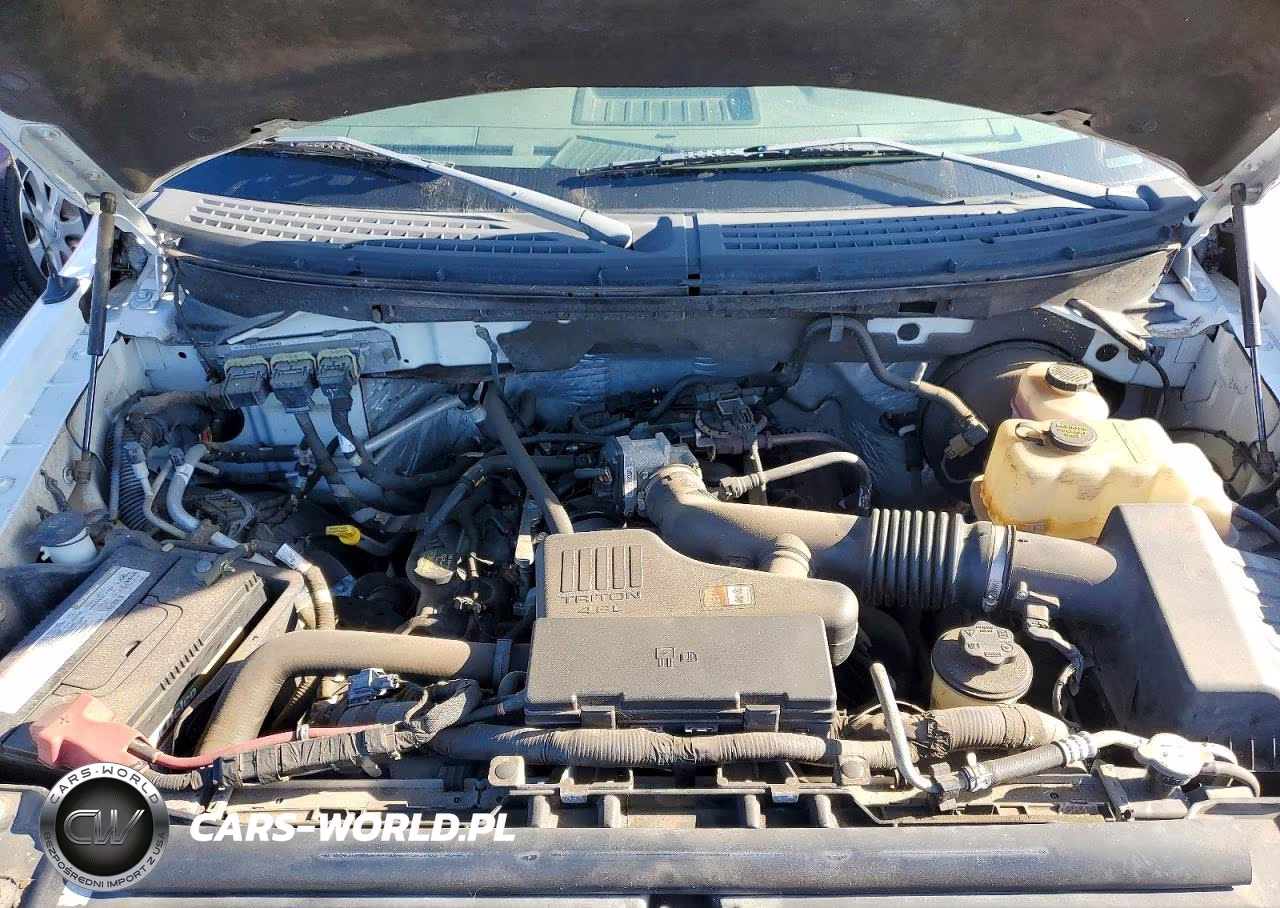 2010 Ford F150 VIN:1FTMF1CW5AKB37351 - 11