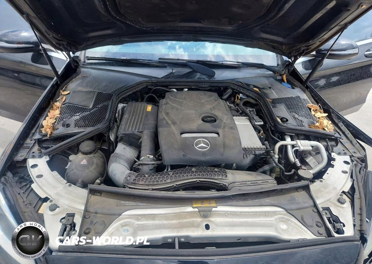 2018 Mercedes-Benz C 300 VIN:55SWF4JBXJU244322 - 11