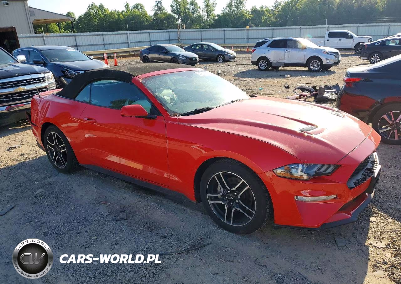 2020 Ford Mustang VIN:1FATP8UH9L5137653 - 4