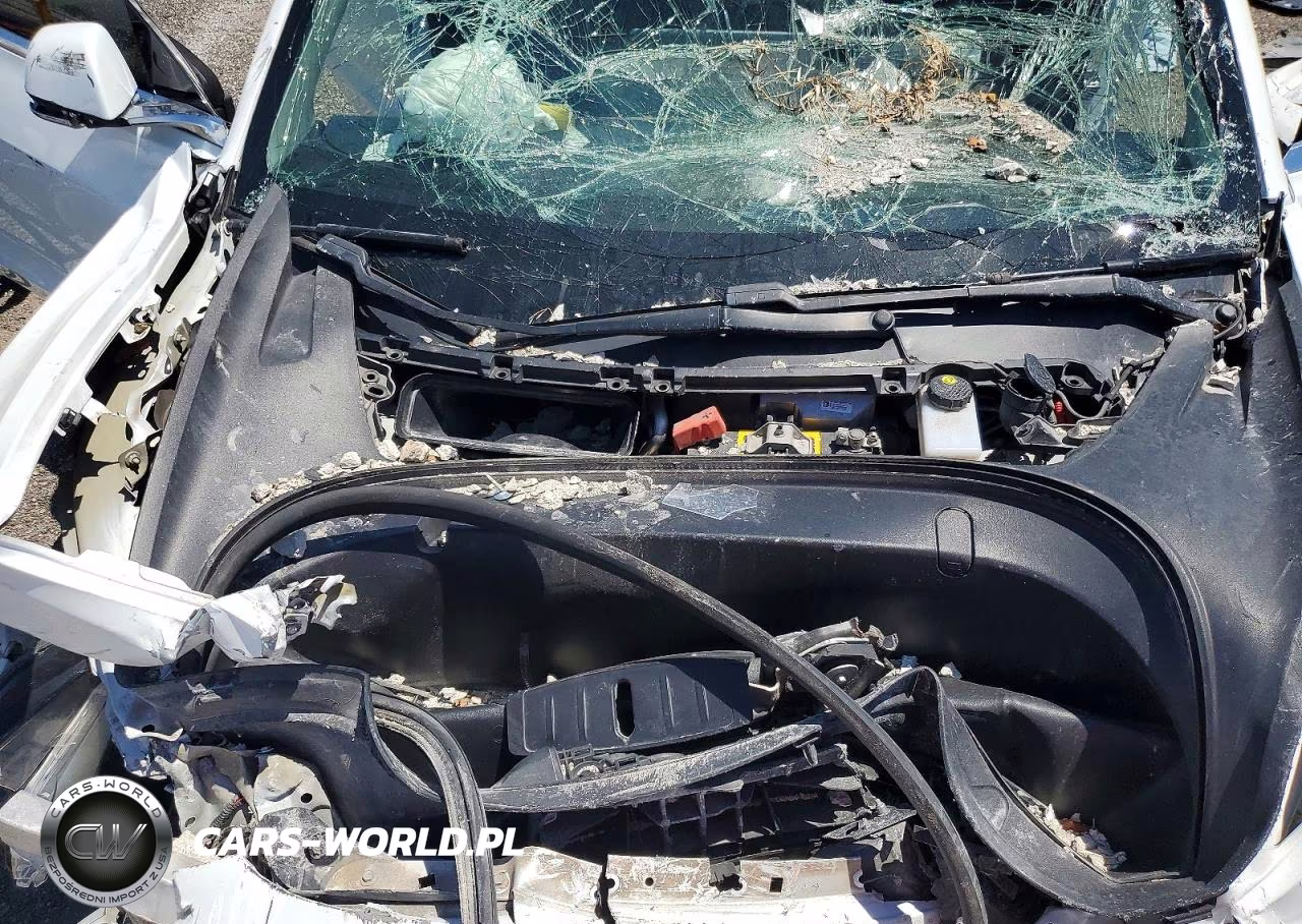 2019 Tesla Model 3 VIN:5YJ3E1EA4KF484622 - 11