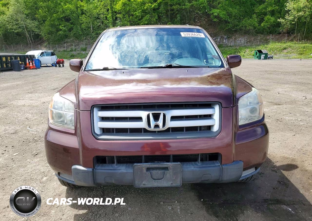 2008 Honda Pilot VIN:5FNYF18258B023977 - 5