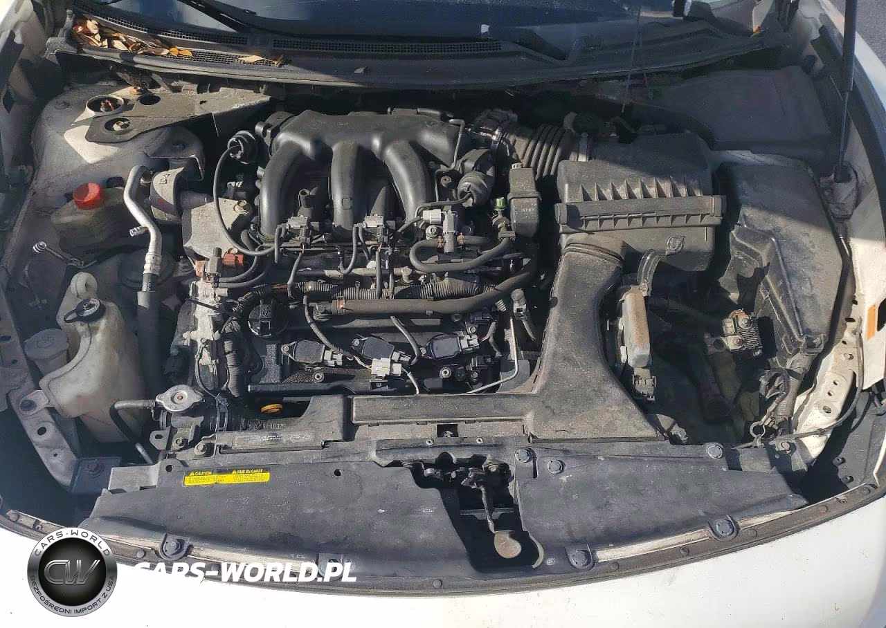 2009 Nissan Maxima 3.5 S VIN:1N4AA51E99C805053 - 11