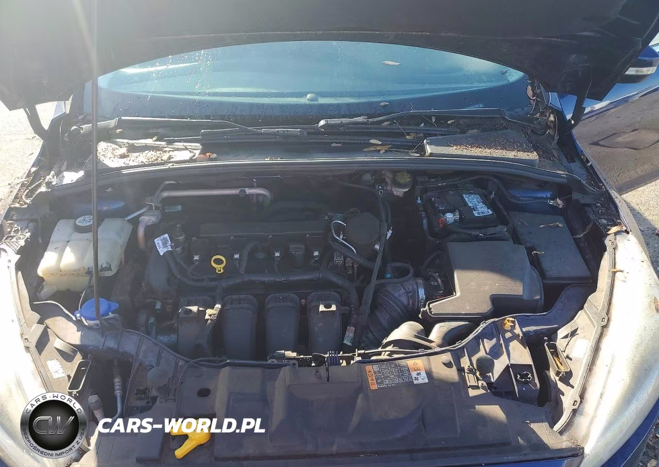2016 Ford Focus Titanium VIN:1FADP3J28GL287925 - 11