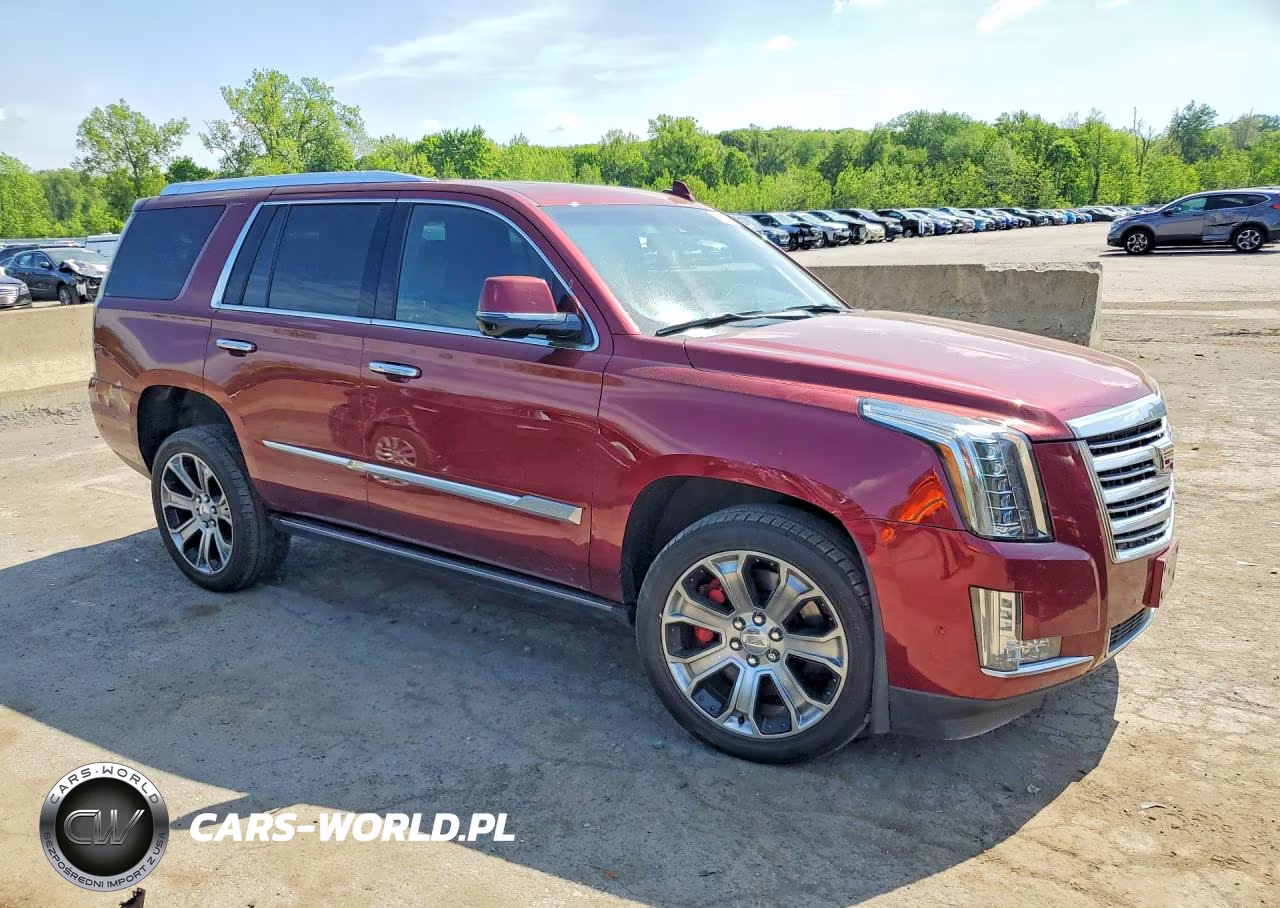 2018 Cadillac Escalade Platinum VIN:1GYS4DKJ1JR220300 - 4
