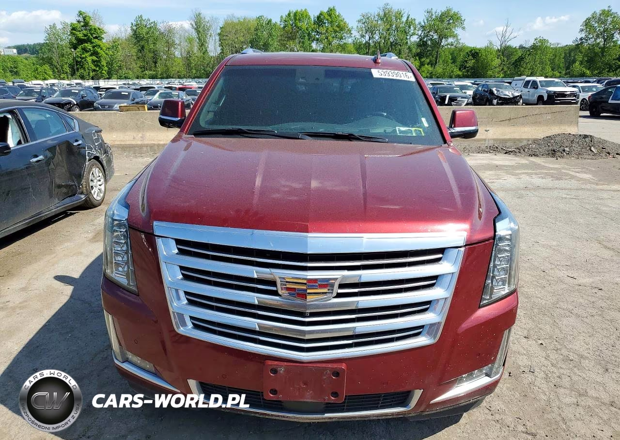 2018 Cadillac Escalade Platinum VIN:1GYS4DKJ1JR220300 - 5