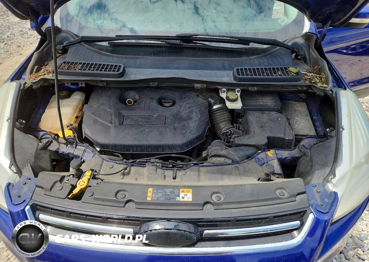 2014 Ford Escape Titanium VIN:1FMCU9J92EUC86481 - 11