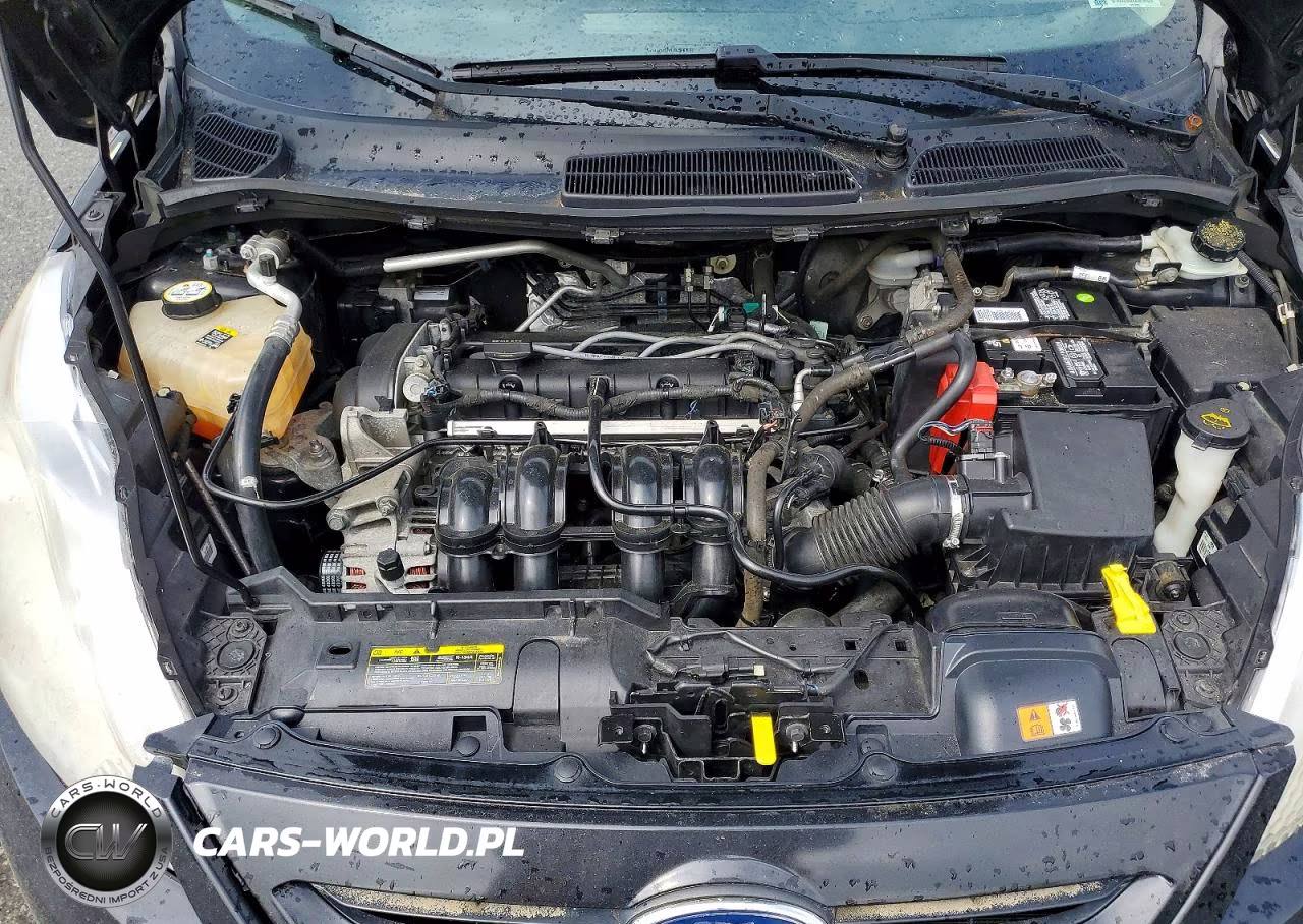 2011 Ford Fiesta Se VIN:3FADP4EJ2BM186006 - 12