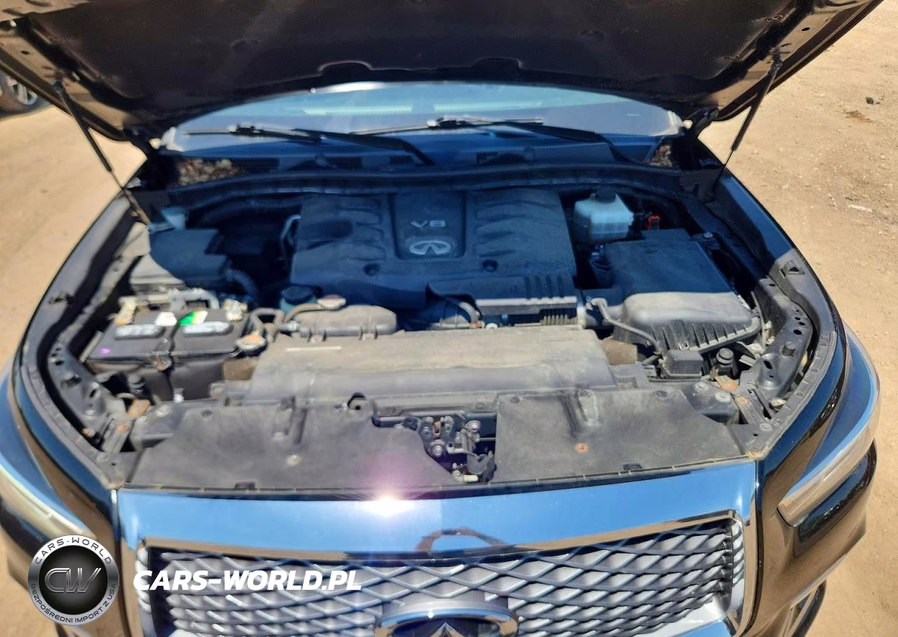 2019 Infiniti Qx80 Luxe VIN:JN8AZ2NE6K9225245 - 11