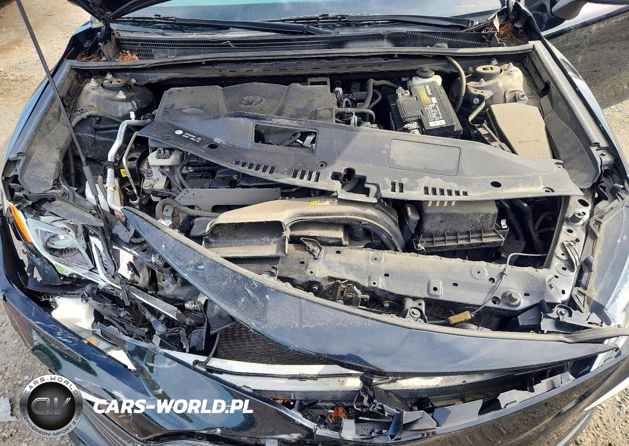 2021 Toyota Camry Le VIN:4T1C11BK5MU024352 - 11