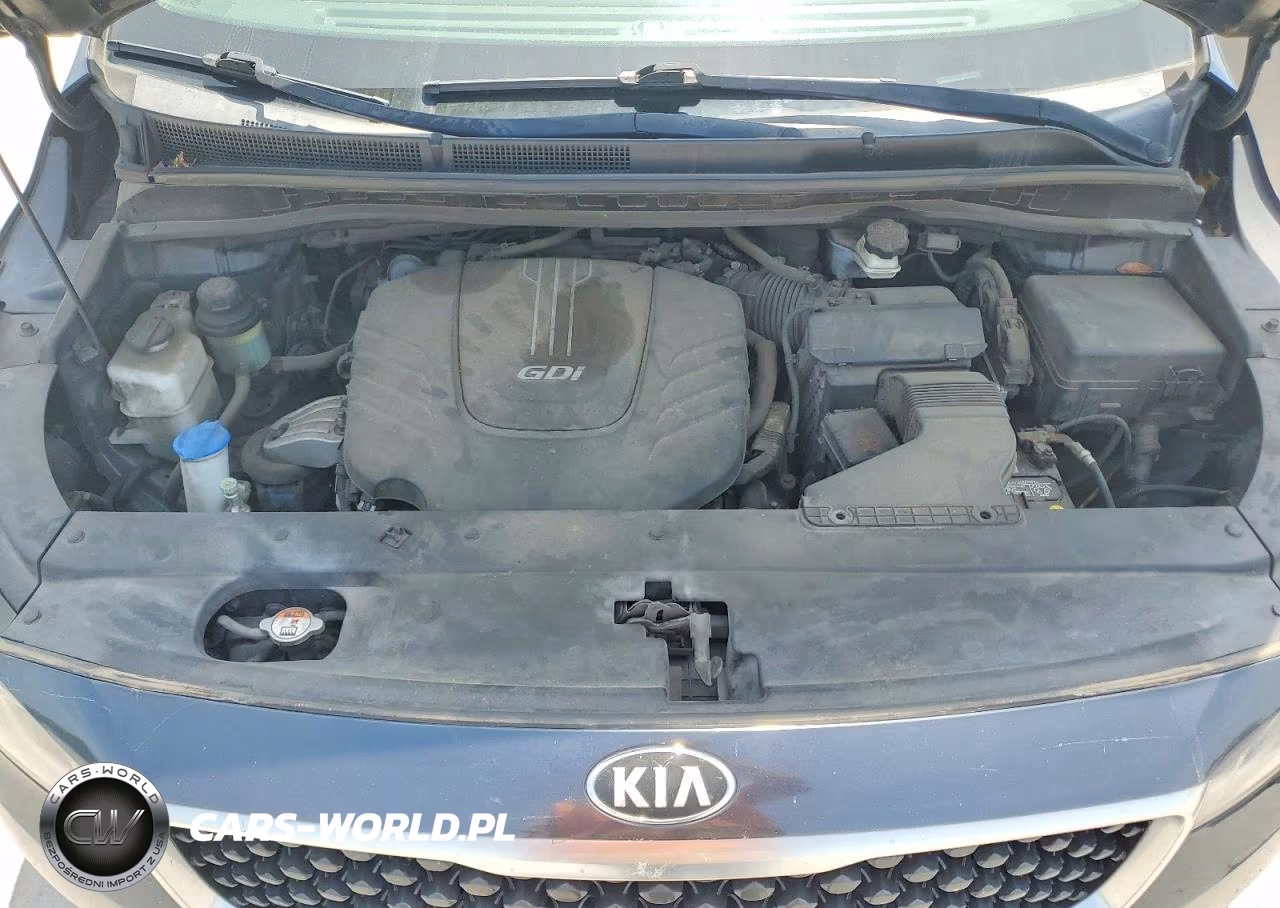 2016 Kia Sedona Lx VIN:KNDMB5C11G6105666 - 12