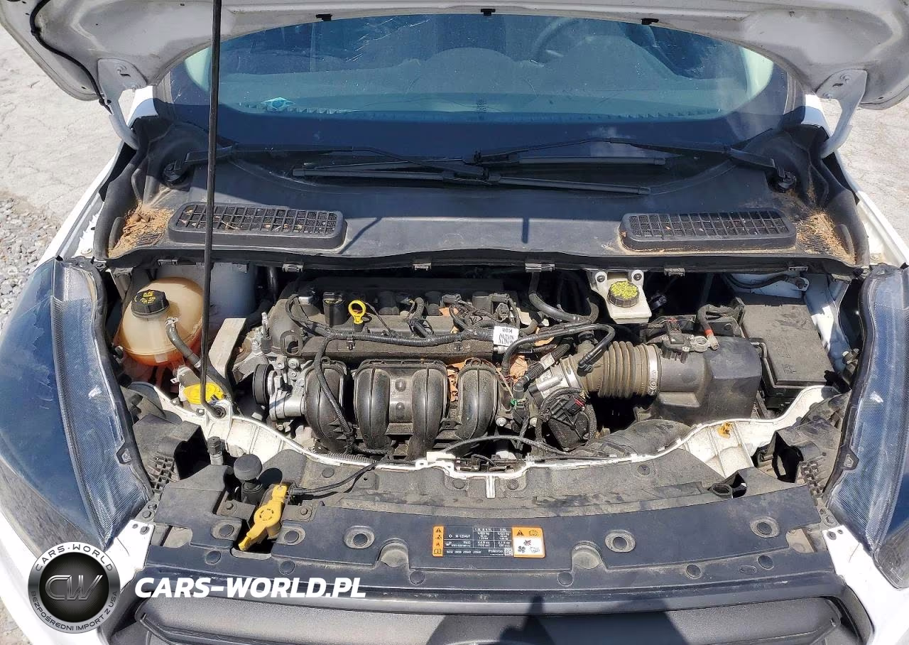 2019 Ford Escape S VIN:1FMCU0F78KUA10630 - 12