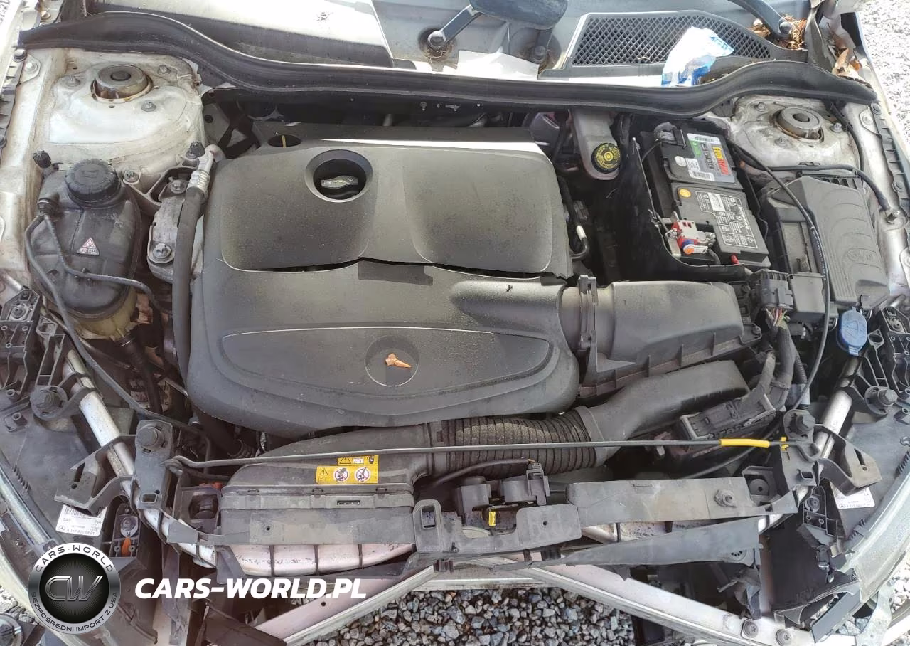 2014 Mercedes-Benz Cla 250 VIN:WDDSJ4EB0EN059931 - 11
