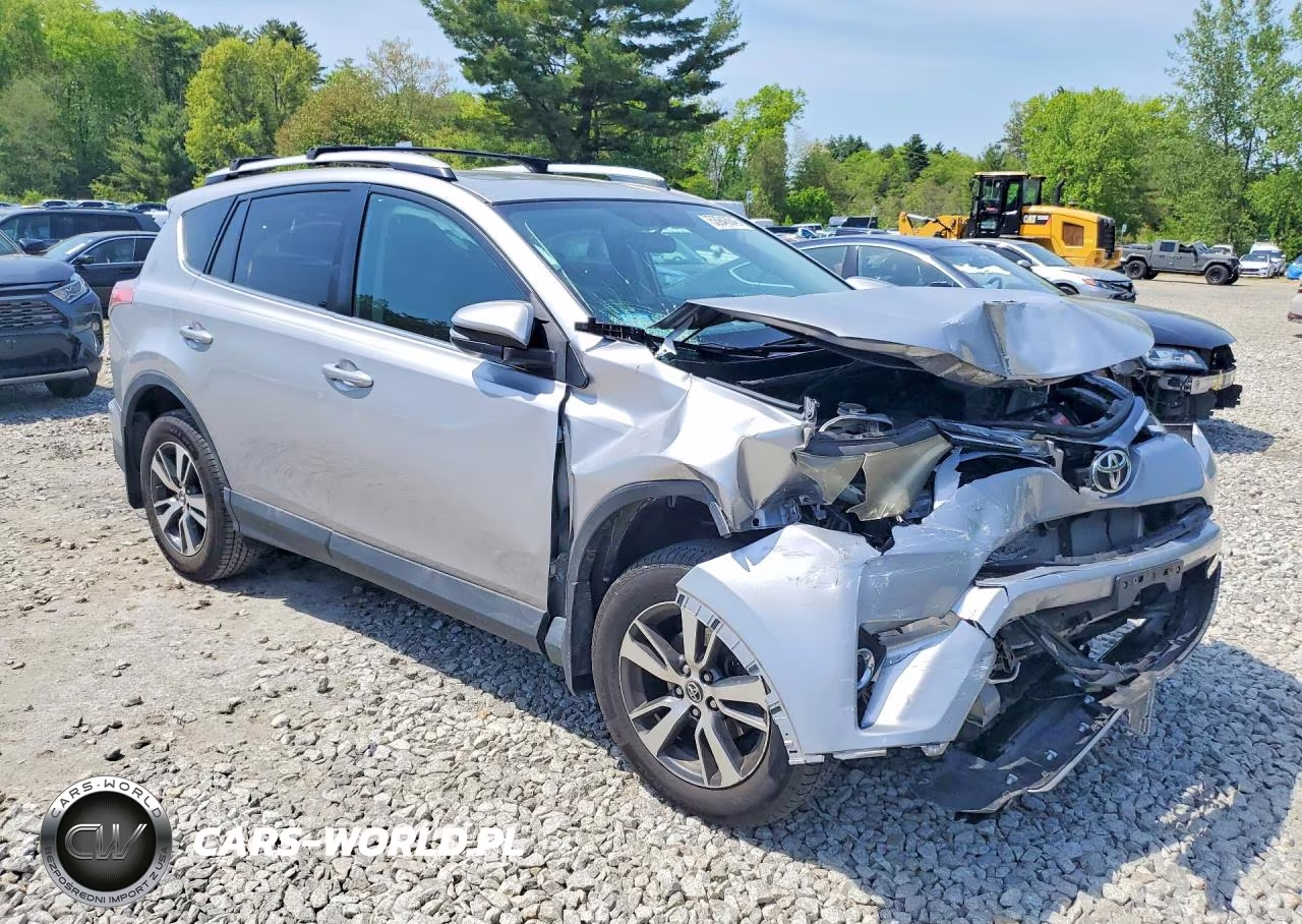 2016 Toyota Rav4 Xle VIN:2T3RFREV6GW502113 - 4