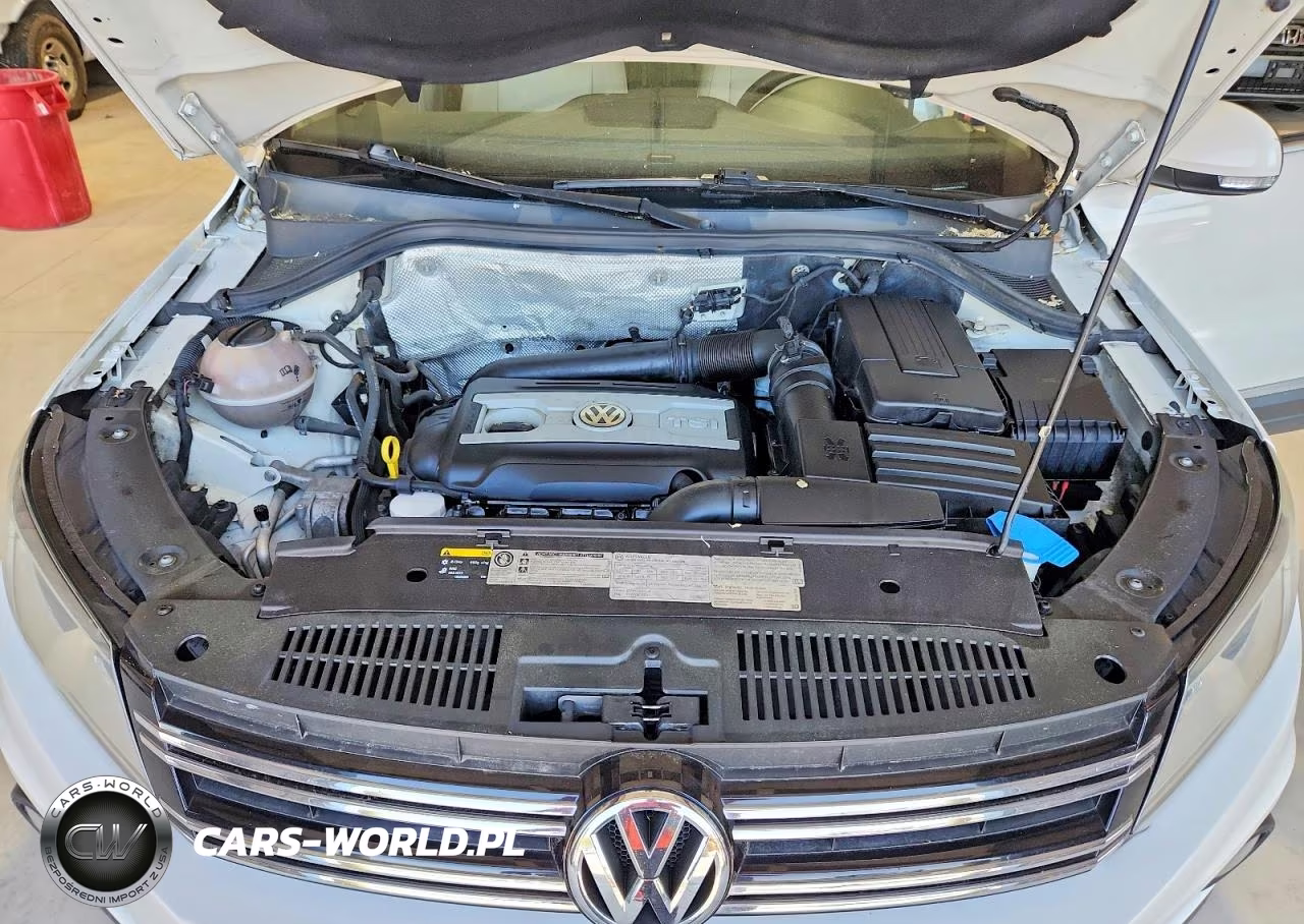 2014 Volkswagen Tiguan S VIN:WVGBV3AXXEW542858 - 12