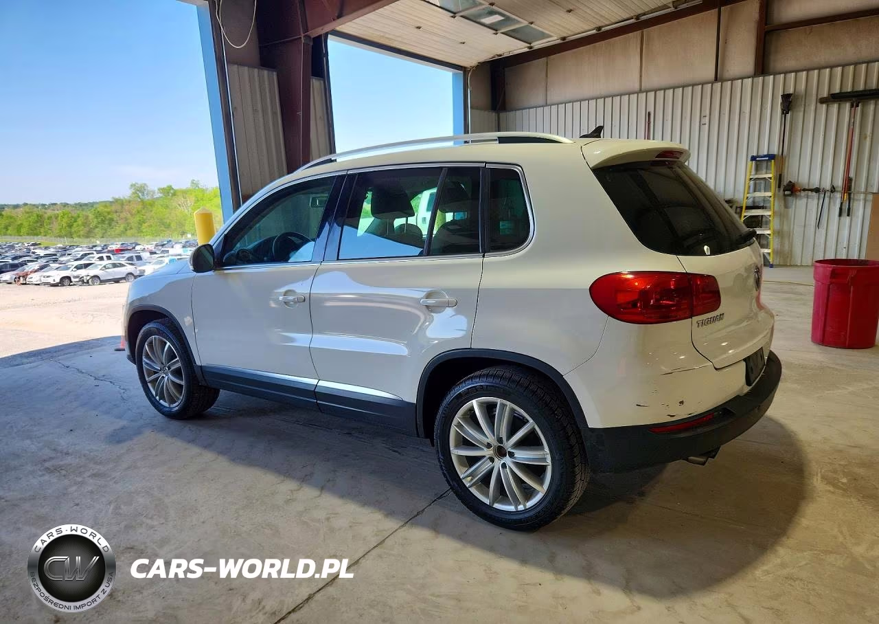 2014 Volkswagen Tiguan S VIN:WVGBV3AXXEW542858 - 2
