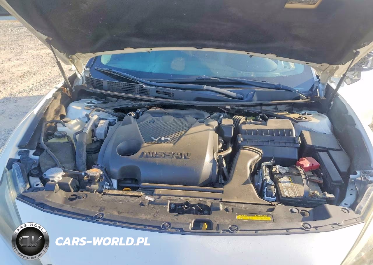 2018 Nissan Maxima VIN:1N4AA6AP6JC375669 - 11