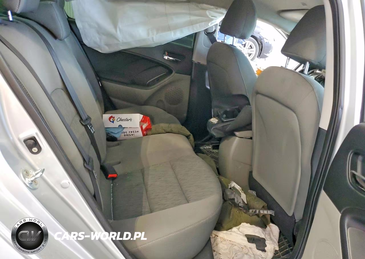 2016 Kia Forte Lx VIN:KNAFK4A6XG5574517 - 10
