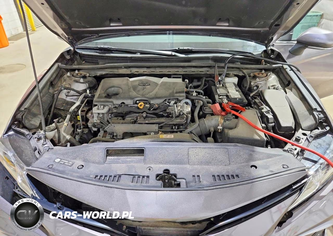 2021 Toyota Camry Le VIN:4T1C11BK0MU029619 - 11