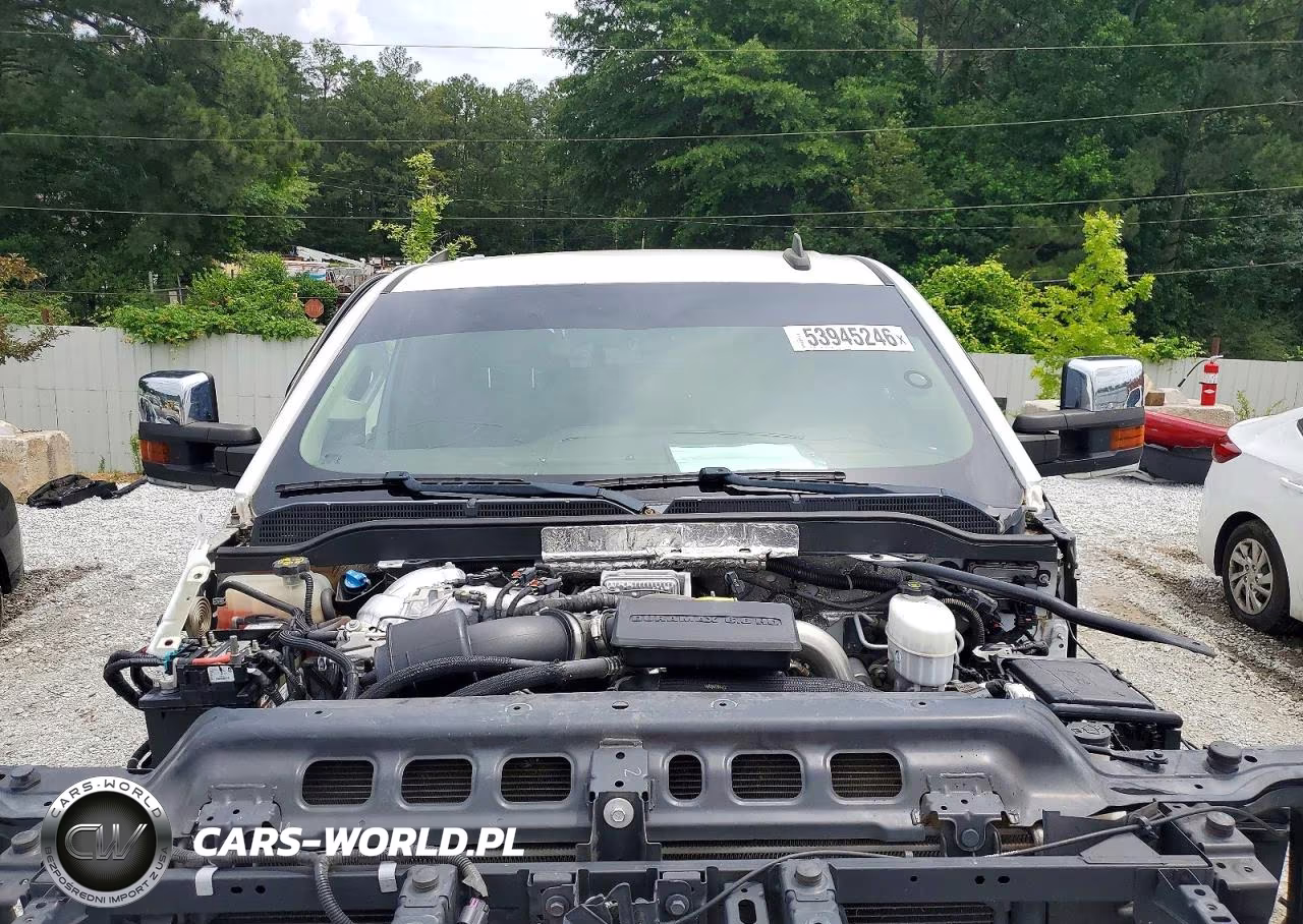 2019 Chevrolet Silverado K2500 Heavy Duty Ltz VIN:1GC1KTEY9KF134147 - 11